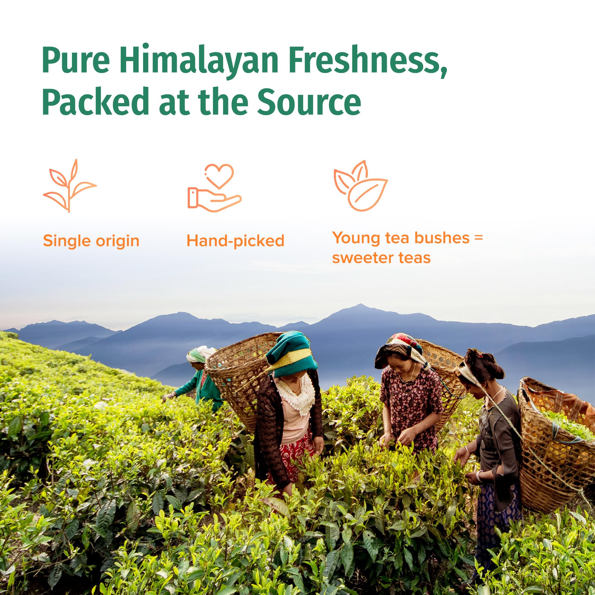 NEPAL TEA Organic Chai Tea Bags from the Himalayas, Chai Spice Blend - 50 Pyramid Tea Bags, Single Origin Chai Spice Tea from a Family Farm - Black