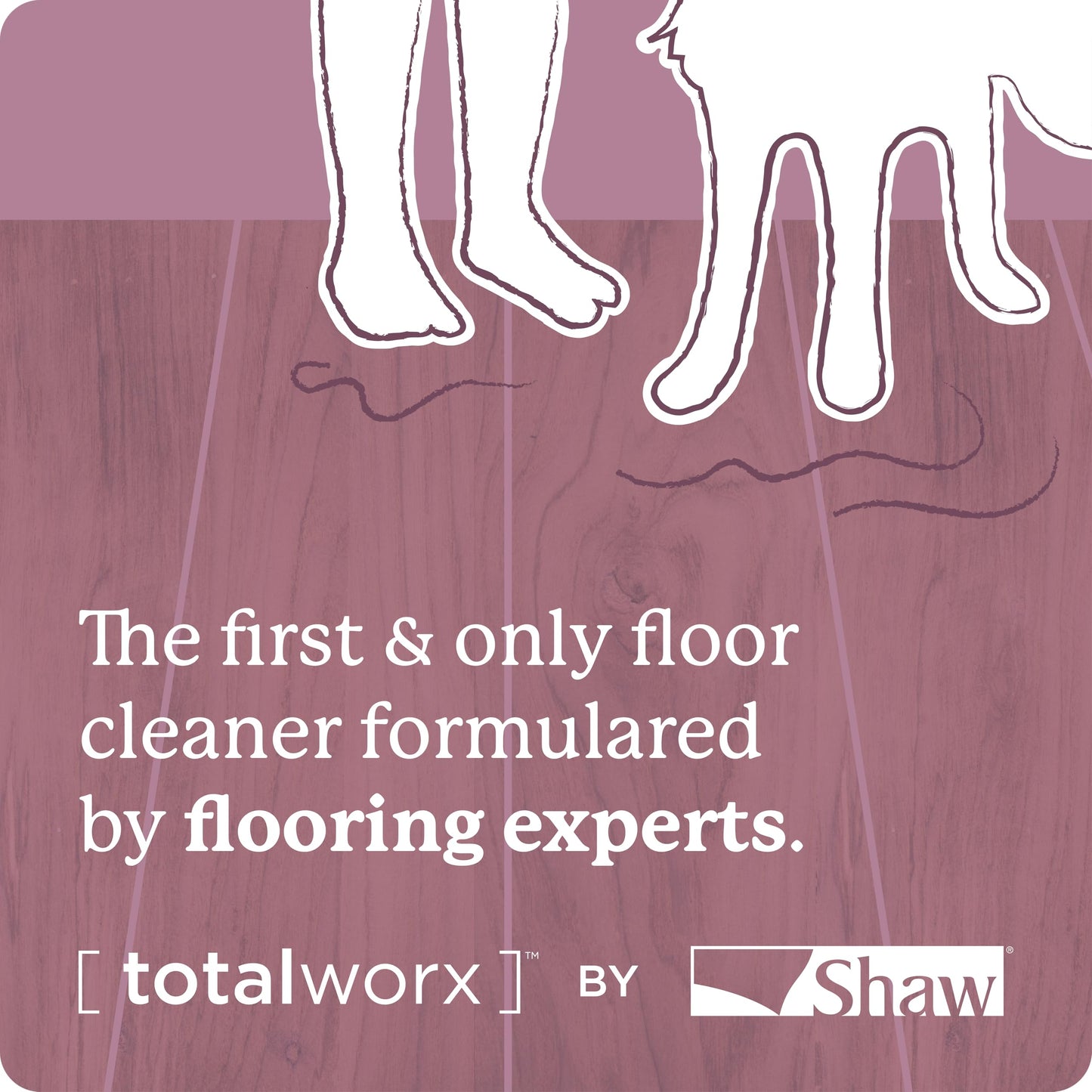 Shaw Floors Carpet Cleaner| Stain & Soil Remover for Carpet, Rugs, Upholstery and MORE | PACK OF 1