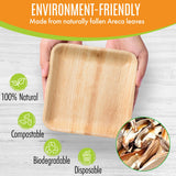 Raj Eco Compostable Palm Leaf Plates Like Bamboo Plates Disposable - 8 Inch Square 200 Plate, Natural wooden, Eco-Friendly, Fancy Biodegradable