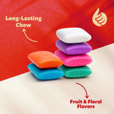 Mexican Chewing Gum | 1.5-Pound Bag | Assorted Flavors | 135 Individually Wrapped Mini Packs | Mint, Cinnamon, Fruit & Floral Flavors | Gum Bulk