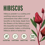 Banyan Botanicals Hibiscus Powder - Organic Hibiscus sabdaiffa - For Refreshing Hibiscus Tea - Supports Healthy Hair & Skin* - 1 lb. - Non-GMO