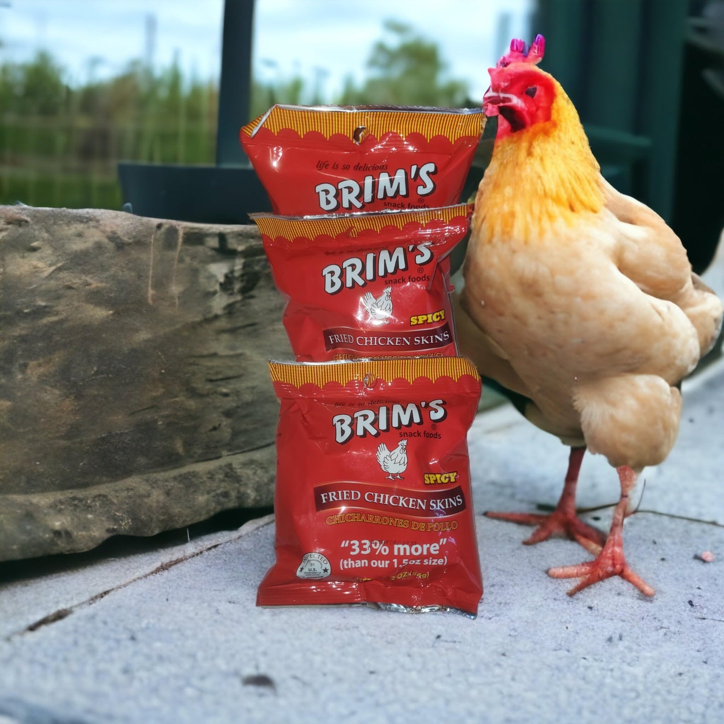 Brim's Spicy Fried Chicken Skins ( 3 pack )