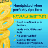 Dole Canned Fruit, Pineapple Slices in 100% Pineapple Juice, Gluten Free, Pantry Staples, 20 Oz, Packaging May Vary