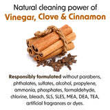 Wipex Table Bussers - Natural Cleaning Wipes | Table Cleaning Quick Cleaner & Counter Wipes | Made with Vinegar, Propolis, Clove and Cinnamon Oil, 400