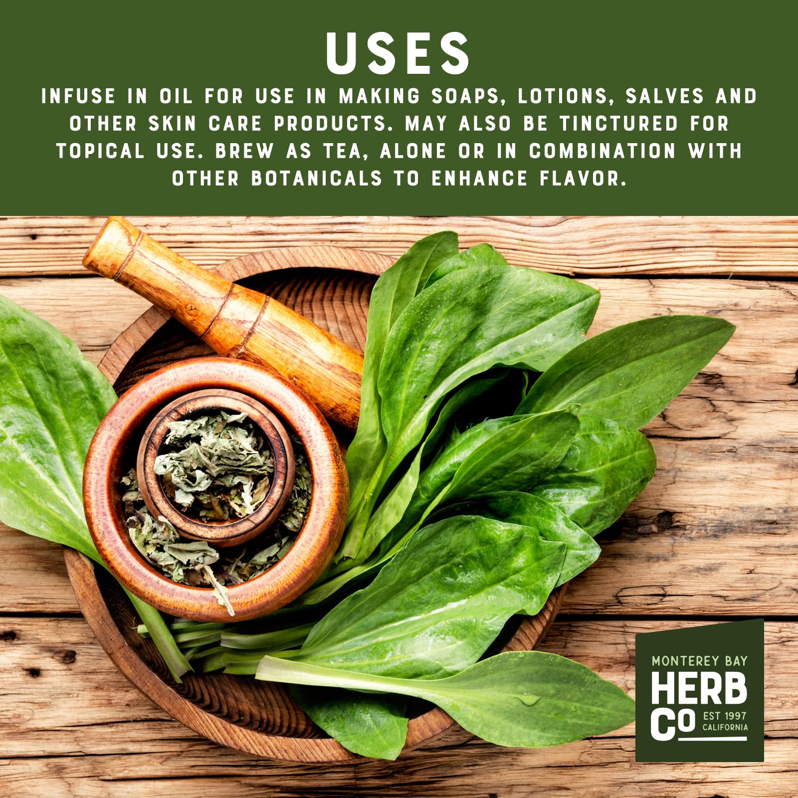 Plantain Leaf Cut & Sifted, by Herb Co, Plantago Major, from Albania, Kosher, for Tea, Soaps, Lotions, Salves & Skincare, 1/4 lb