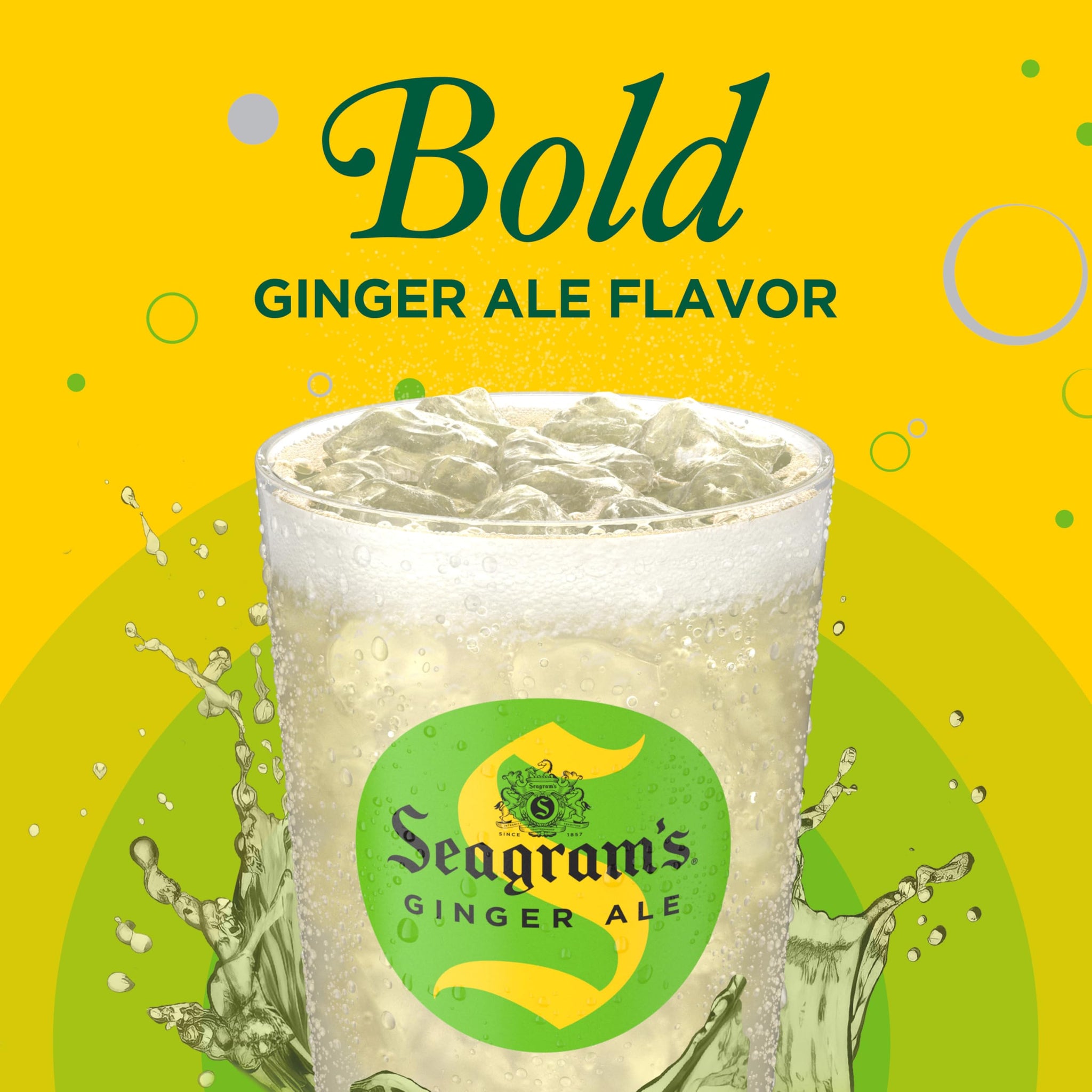 Seagram's Ginger Ale, 12 fl oz, 12 Pack