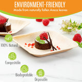Raj Palm Leaf Plates [100-Pack] 6" Square Plates like Bamboo plates Disposable, Strong, Decorative Compostable Tableware for wedding, Lunch, Dinner