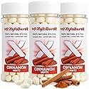 XyloBurst - Xylitol Mints | Sugar Free Breath Mints for Oral Health | Gluten Free, Vegan, Keto Friendly | Aspartame Free Mint | Cinnamon | 200 Count