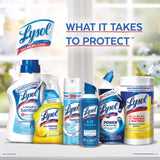 Lysol Disinfectant Spray, Household Cleaning Supplies, Disinfecting Multi-Purpose Room Spray, Antibacterial Sanitizer, Deodorizer, Kills Hantavirus