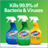 Clorox Company Clorox Clean-Up All Purpose Cleaner Spray Bottle With Bleach Original, 24 Fl Oz