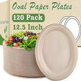 Bgtecho 120 Pack Oval Paper Plates, 12.5 Inch Disposable Dinner Plates, Disposable Heavy Duty Large Biodegradable Plate, Super Strong Compostable