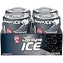 Dentyne Ice Sugar Free Gum (Arctic Chill 60 Piece Pack of 4)