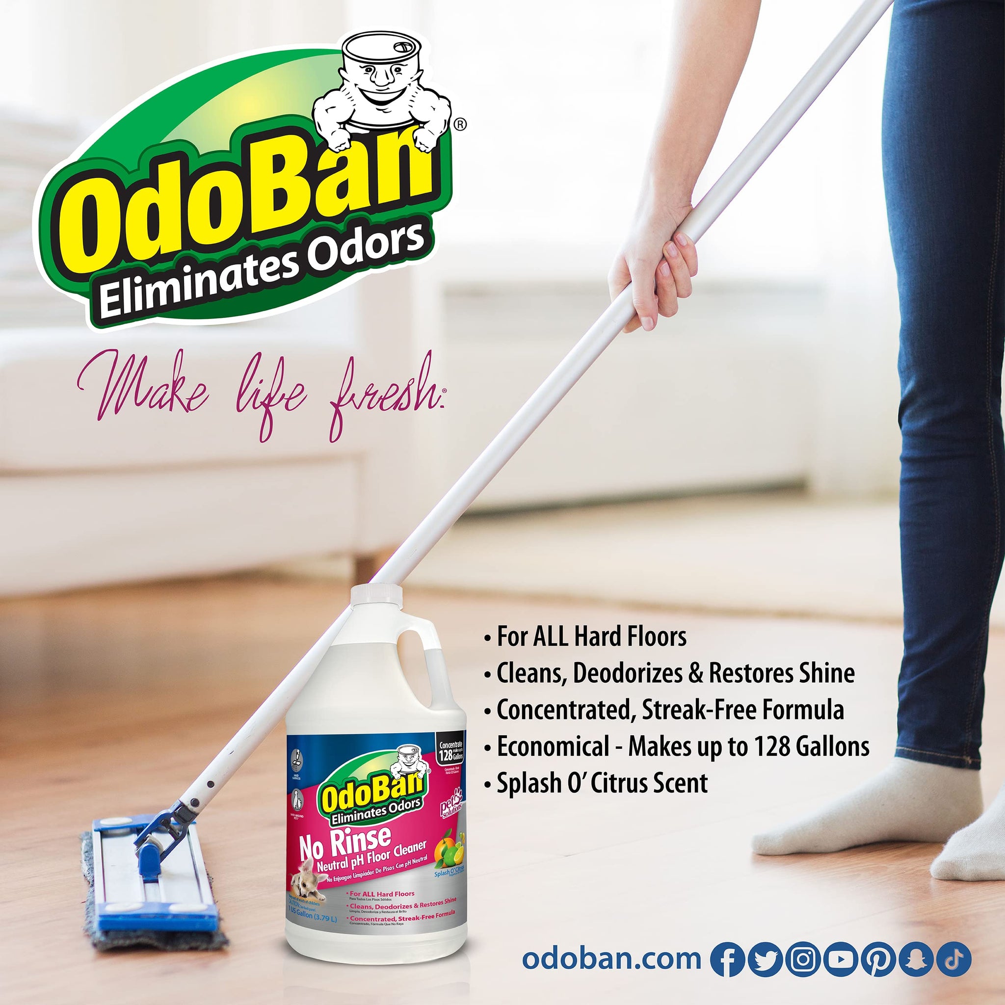 OdoBan Pet Solutions No Rinse Neutral pH Floor Cleaner Concentrate, Made in the USA, 2 Gallons