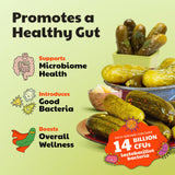Olive My Pickle Fermented Pickles Probiotic Variety Pack - 96 Ounces | 3-Pack Bundle of Kosher Dill, Garlic, Spicy Kosher Dill Pickles and Brine