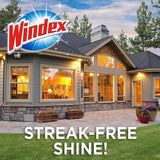 Windex Outdoor All-in-One Window Cleaner Pads Refill, 2 Count (Pack of 1)