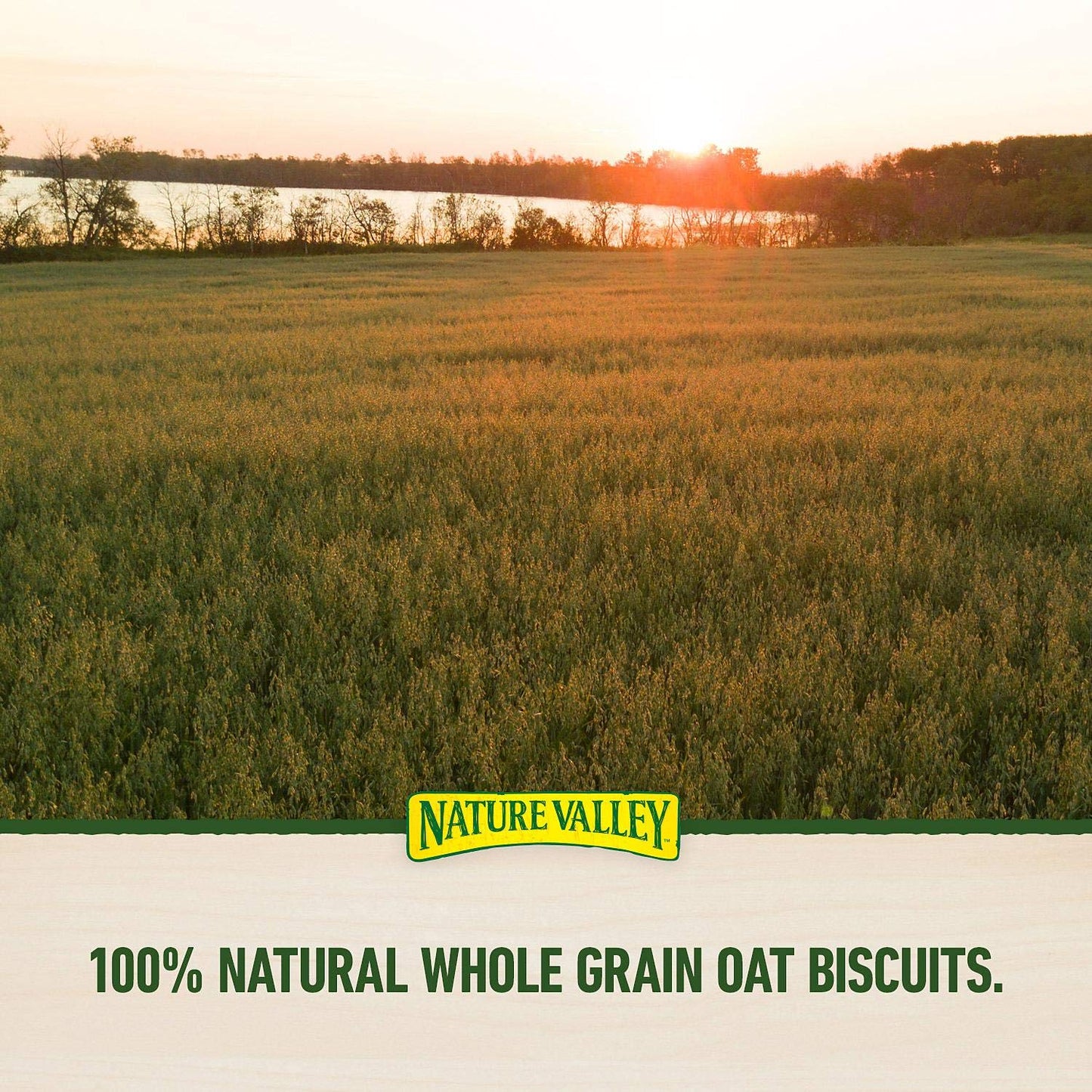 Nature Valley Biscuit Variety Pack (30 x 1.35 Oz), 40.5 Ounce, 30 Count (Pack of 1)