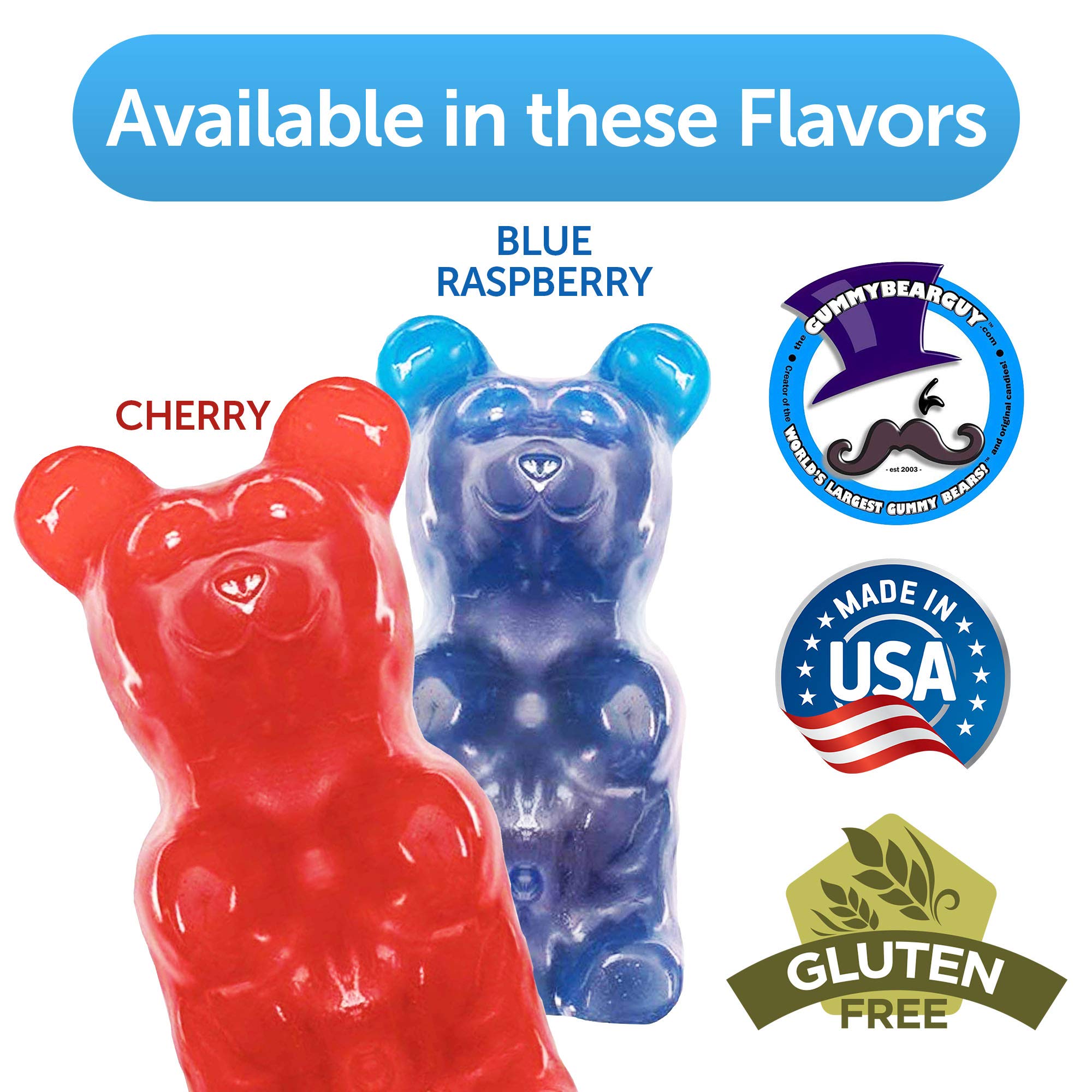 The Gummy Bear Guy® | The Original World's Largest Gummy Bear® - 5 Pounds - Cherry - Now Offering 40 Flavor Options!