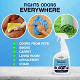 Odorable Stain & Odor Eliminator (32 oz) - Professional Cleaner for Pet Urine, Vomit & Feces, Safe on Carpet, Couch & Floor, Pet Stain Eliminator
