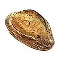 Bread Sourdough Boston Rosemary Olive, 16 Ounce