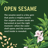 Banyan Botanicals Refined Sesame Oil - Organic Sesame Oil for Skin, Body, Hair & More - Multiple Sizes - 8 oz - Non GMO Sustainably Sourced Vegan