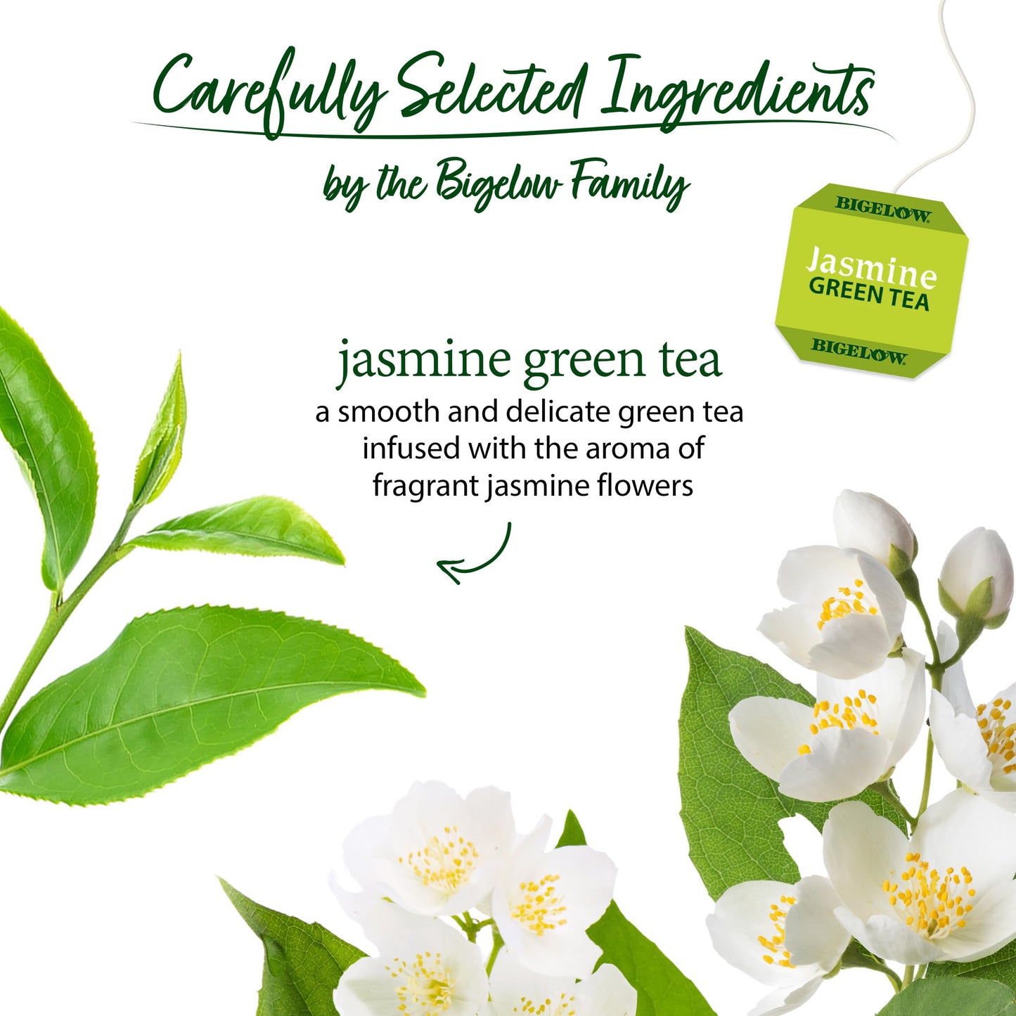 Bigelow Tea Green Jasmine 20 Bags (Pack of 4)