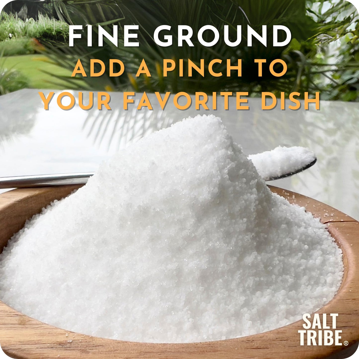 Salt Tribe™ | Baja Sea Salt | Mineral Rich | 90+ Trace Minerals | Fine Ground | Hydration Support | Sal Organica | Low Sodium | Organic & Unrefined |