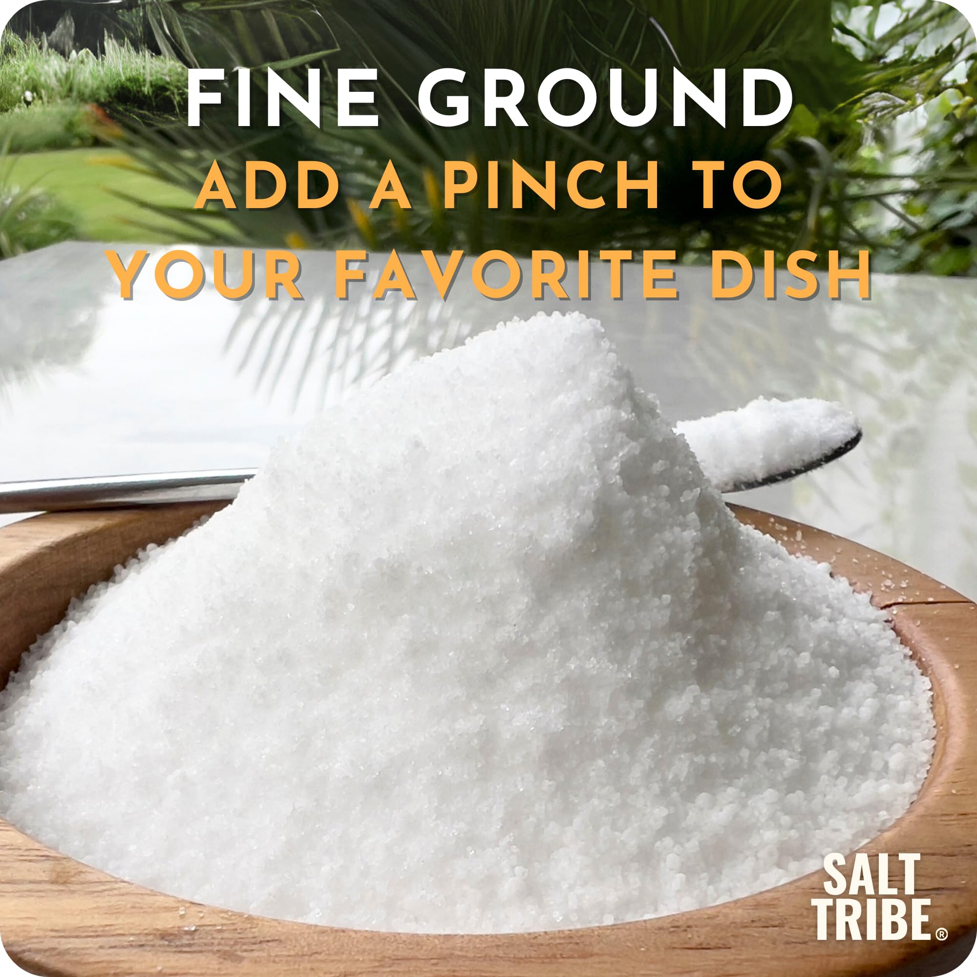 Salt Tribe™ | Baja Sea Salt | Mineral Rich | 90+ Trace Minerals | Fine Ground | Hydration Support | Sal Organica | Low Sodium | Organic & Unrefined |