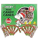 Mini Candy Canes, Cherry Flavored, Peanuts Individually Wrapped Christmas Candies, 50 Count