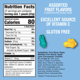 Bluey Fruit Flavored Snacks, Fat Free and Gluten Free Snacks, 17.6 oz (22 Pouches)