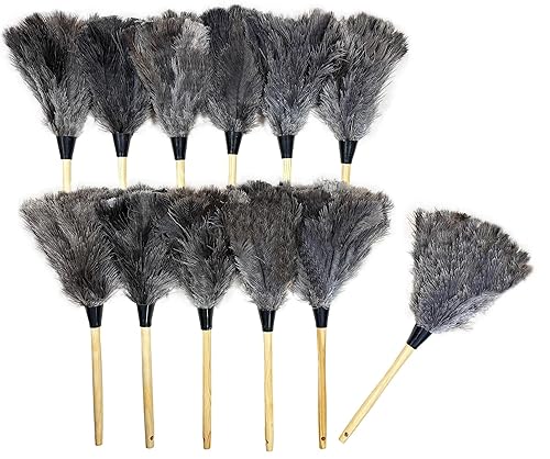 Alta Dusting Products (Qty. 12) (Cleaning Company Series) 20" Ostrich Feather Dusters