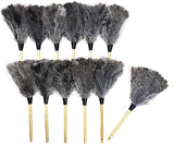 Alta Dusting Products (Qty. 12) (Cleaning Company Series) 20" Ostrich Feather Dusters