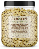 Moringa Seeds Kernel Shelled 2 lbs. Wide Mouth Jar - Clean PKM1 Variety - Edible - Moringa Oleifera - Malunggay - Semillas De Moringa - Drumstick Tree