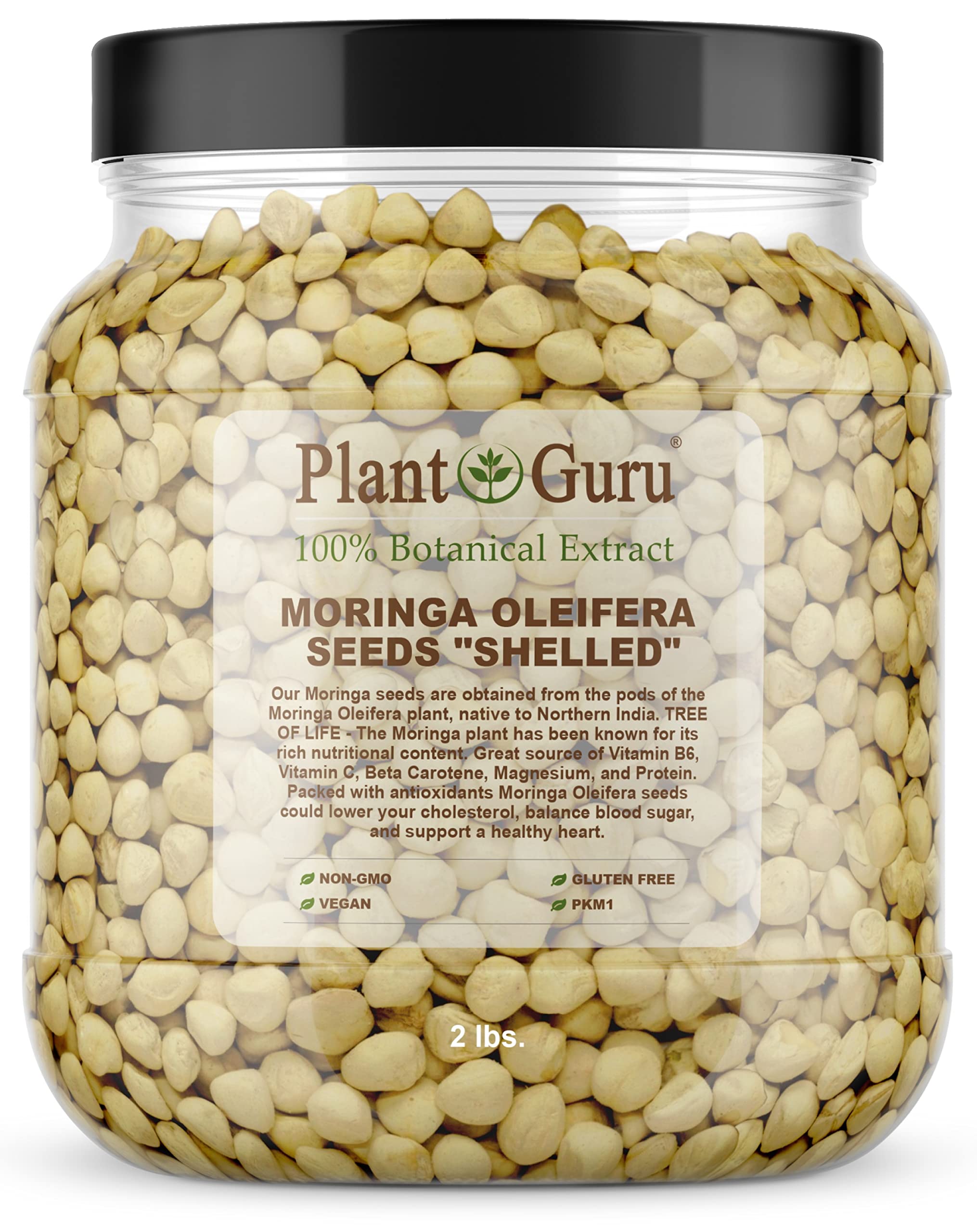 Moringa Seeds Kernel Shelled 2 lbs. Wide Mouth Jar - Clean PKM1 Variety - Edible - Moringa Oleifera - Malunggay - Semillas De Moringa - Drumstick Tree