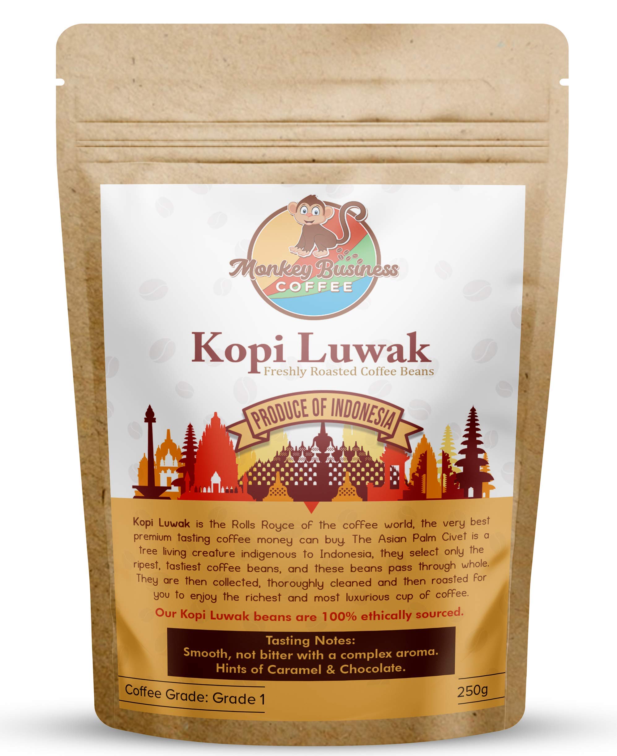 Monkey Business Coffee - Wild Kopi Luwak Coffee Whole Beans - Ethically Sourced - 250 Grams (8.8oz) (Other Weights & Bean Types Available) - Produce