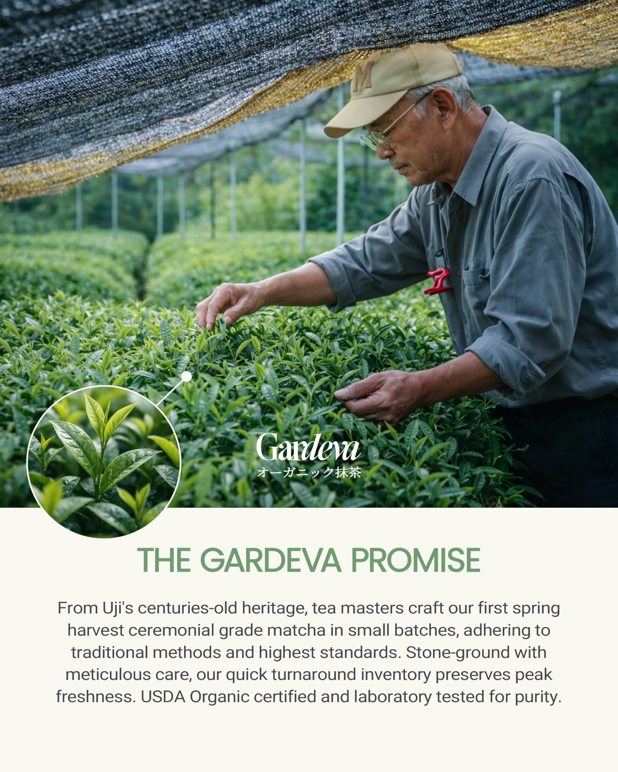 Gardeva Organic Japanese Ceremonial Grade Matcha - 100% Pure Green Tea Powder, USDA Certified, First Harvest, Authentic Origin From Uji, Kyoto (40g