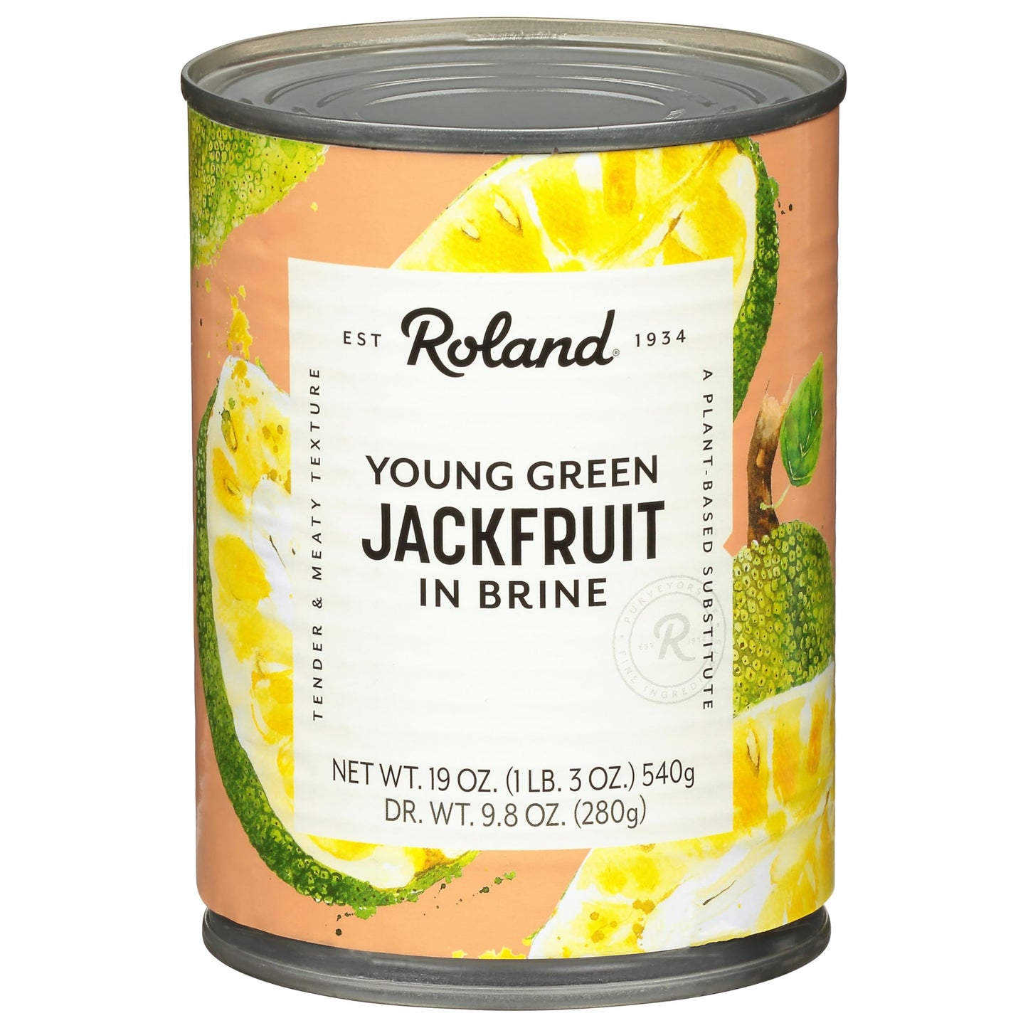Generic R.oland Jackfruit In Brine 19 oz (Pack of 12)