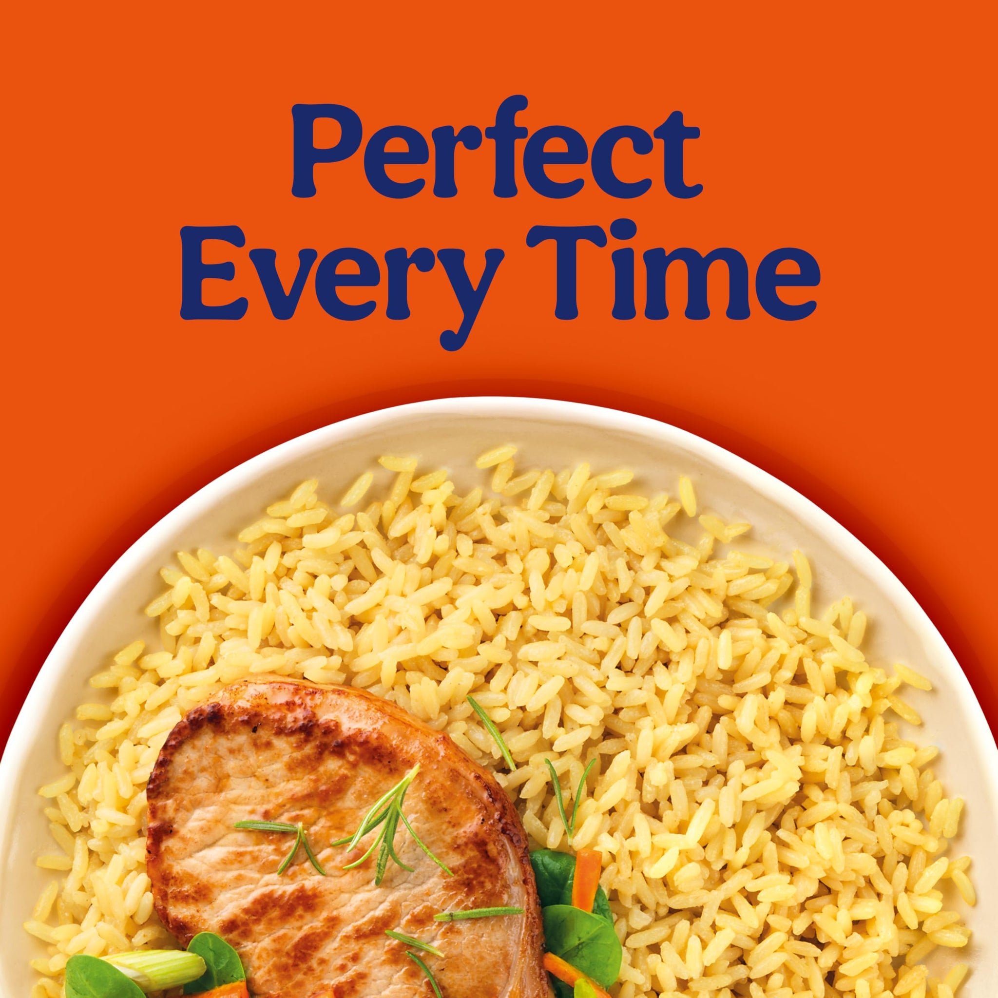 BEN'S ORIGINAL Ready Rice Butter and Garlic Flavored Rice, Easy Dinner Side, 8.8 oz Pouch