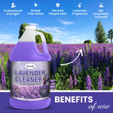 GELEAN LAVENDER Multi Purpose Cleaner & Deodorant - MADE IN USA - Concentrate Lavender cleaner - Strong Odor Floor Cleaner - Floor Cleaner Odor
