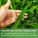FreshDrinkUS, Premium 4.5oz Natural Pandan Leaves Dried, 100% Pure Dried Pandan Leaves, Pandan Leaf Tea, No Additives, No Caffeine, Vegan