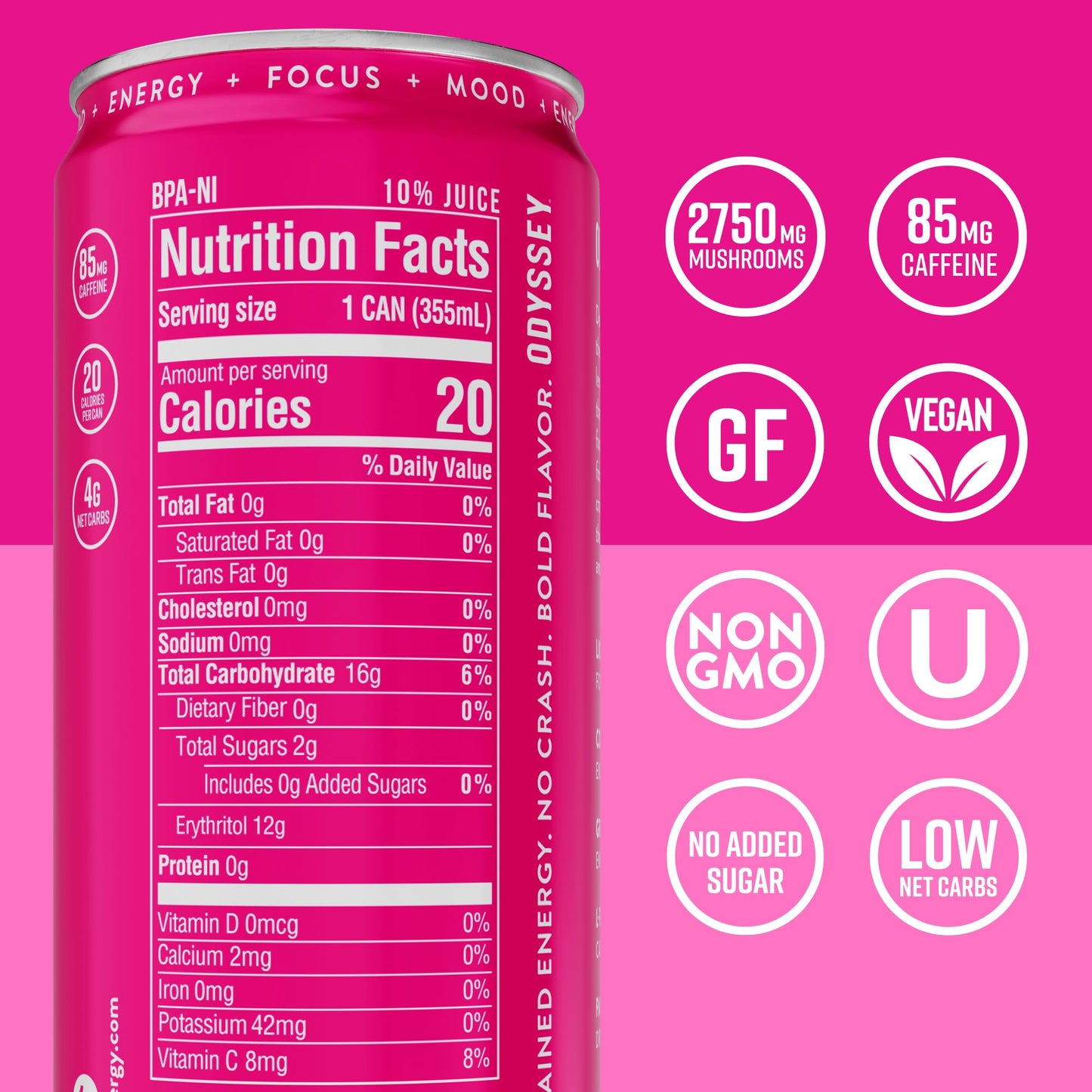 Odyssey Functional Energy Drink for Focus, Cognition & Mood Support 12 Pack - Adaptogenic Drink with 85mg Green Tea Caffeine, Lion’s Mane, Cordyceps