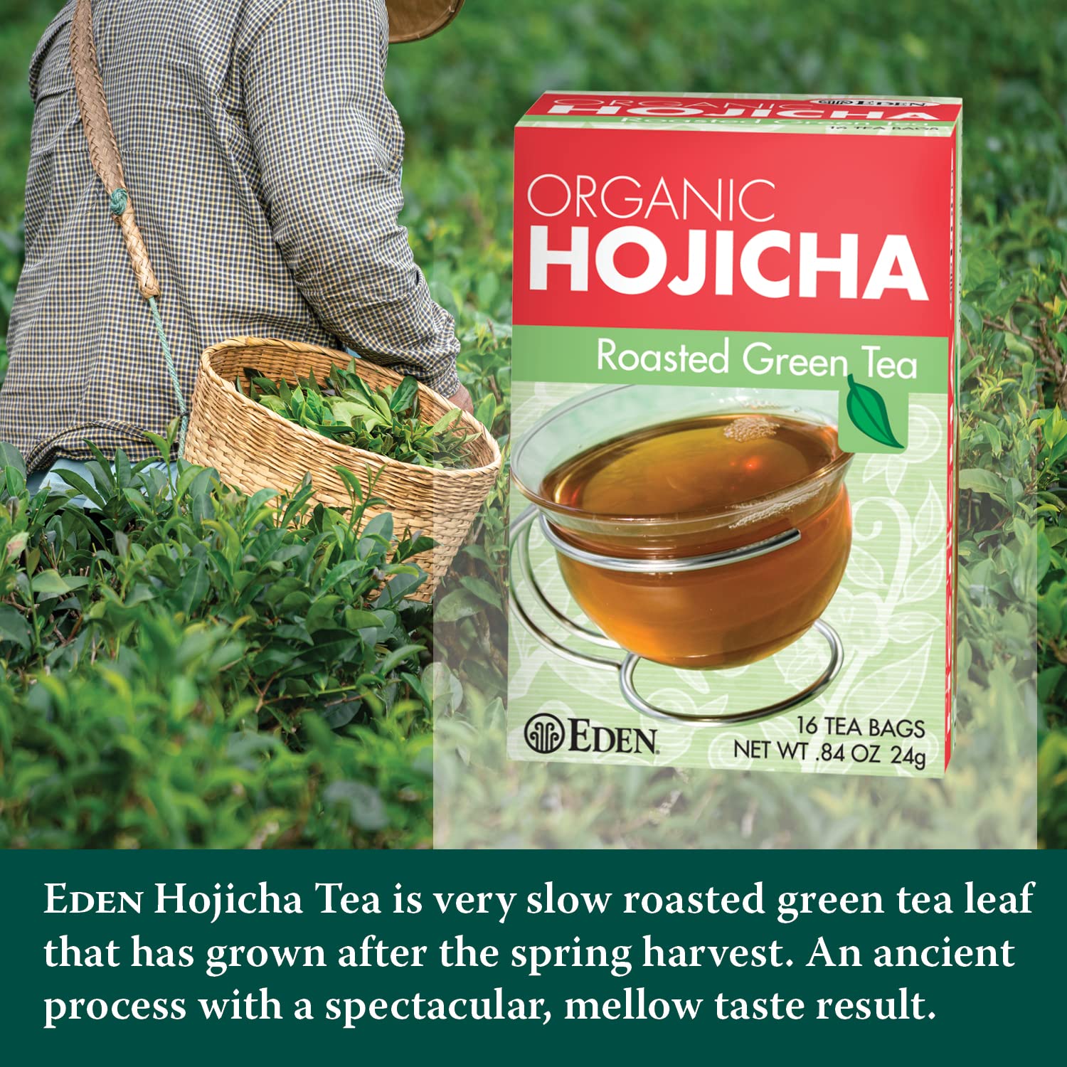 Eden Roasted Green Tea, Hojicha, Tea Bags, 16-Count Boxes (Pack of 12)