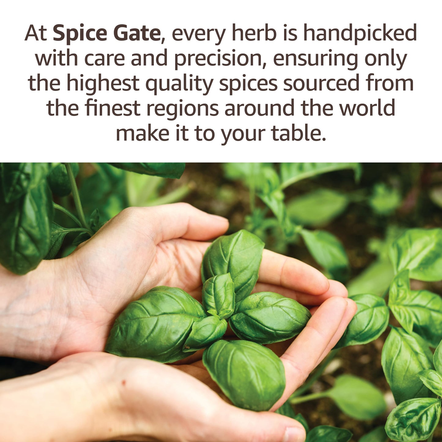 SPice Gate Orange Peel Granules (1.5 oz) Ideal for tea and cooking