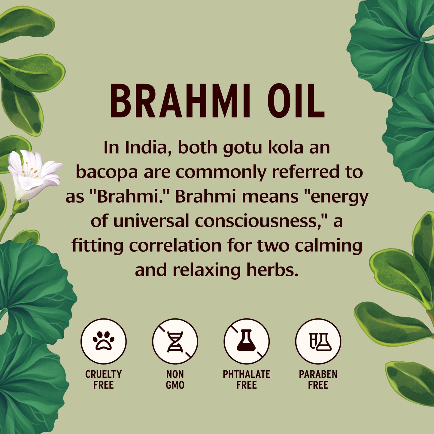 Banyan Botanicals Brahmi Oil with Sesame - Organic Ayurvedic Massage Oil with Gotu Kola & Bacopa - Calming Massage Oil for Focus & Relaxation - 128 oz