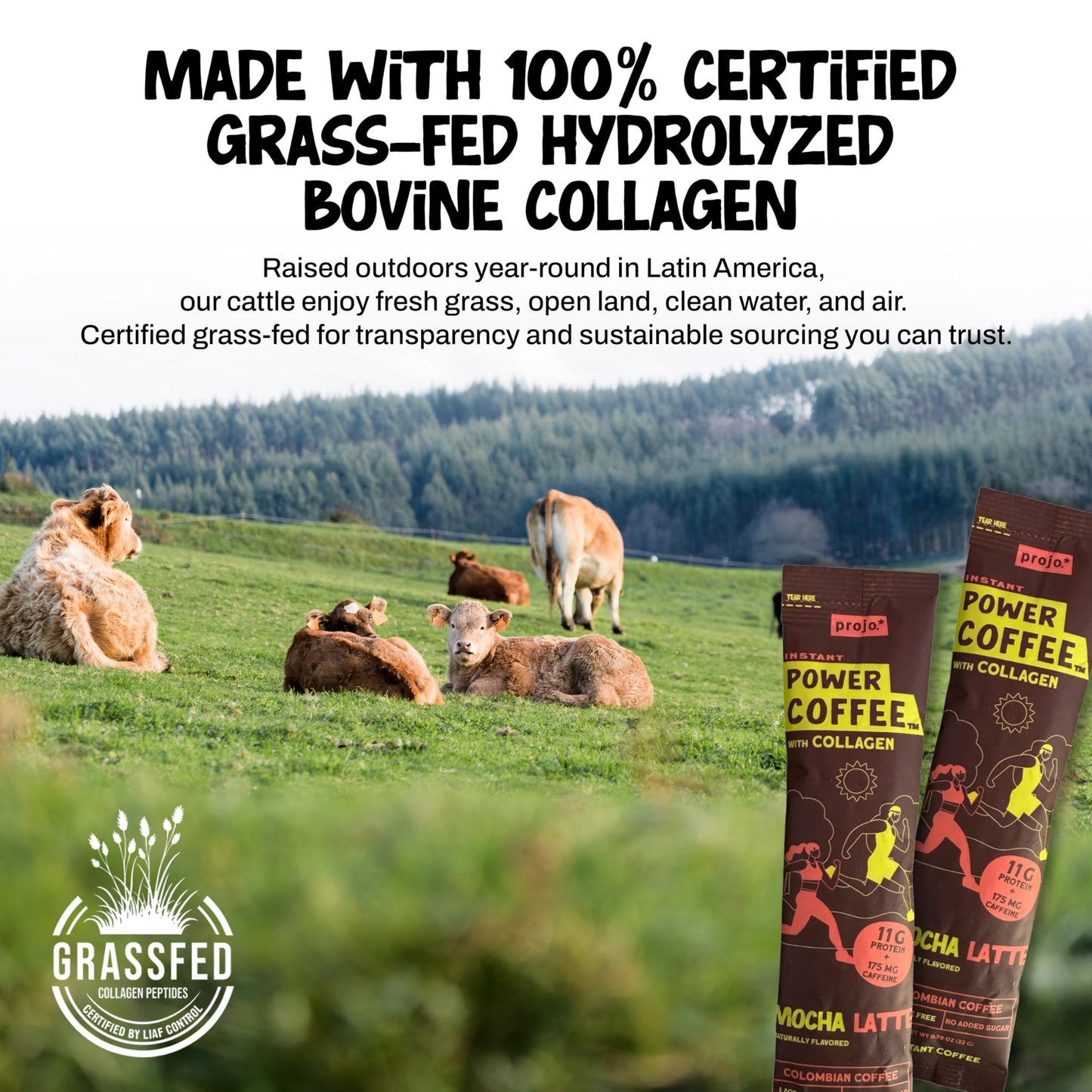 Projo* Power Coffee - Instant Coffee with 11g Protein - Grass-Fed Hydrolyzed Bovine Collagen & 175mg Caffeine - Mocha Latte Flavor - Organic - Energy