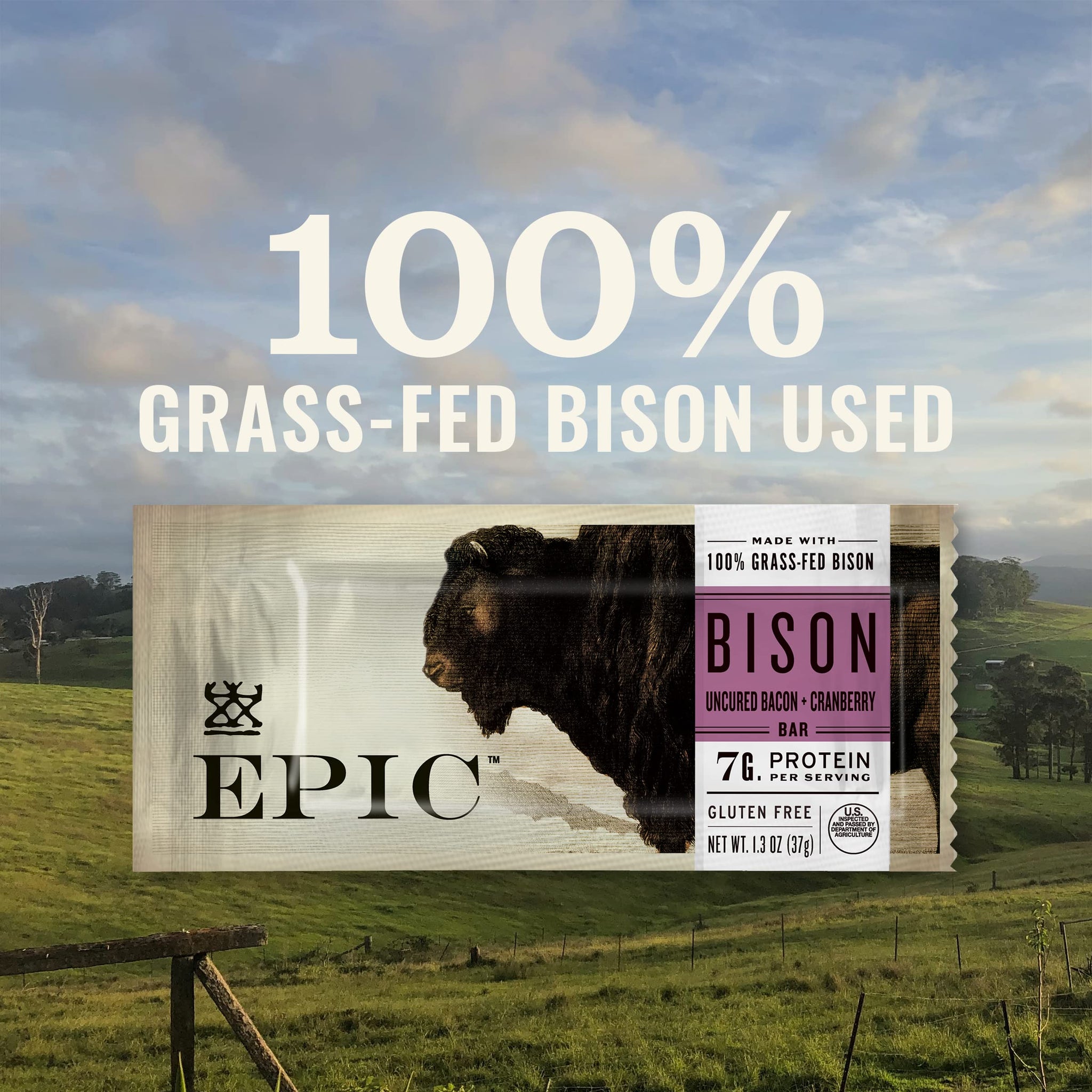 EPIC Bison Bacon Cranberry Bars, Paleo Friendly, Gluten Free, 4 ct, 1.3 oz Bars