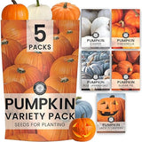 Pumpkin Seeds | 5 Invidiual Packs | 2026 Season | Non-GMO | Jack O Lantern, Sugar Pie, Casper, Cinderella & Blue Jarrahdale! | for Planting Indoor