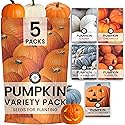 Pumpkin Seeds | 5 Invidiual Packs | 2026 Season | Non-GMO | Jack O Lantern, Sugar Pie, Casper, Cinderella & Blue Jarrahdale! | for Planting Indoor