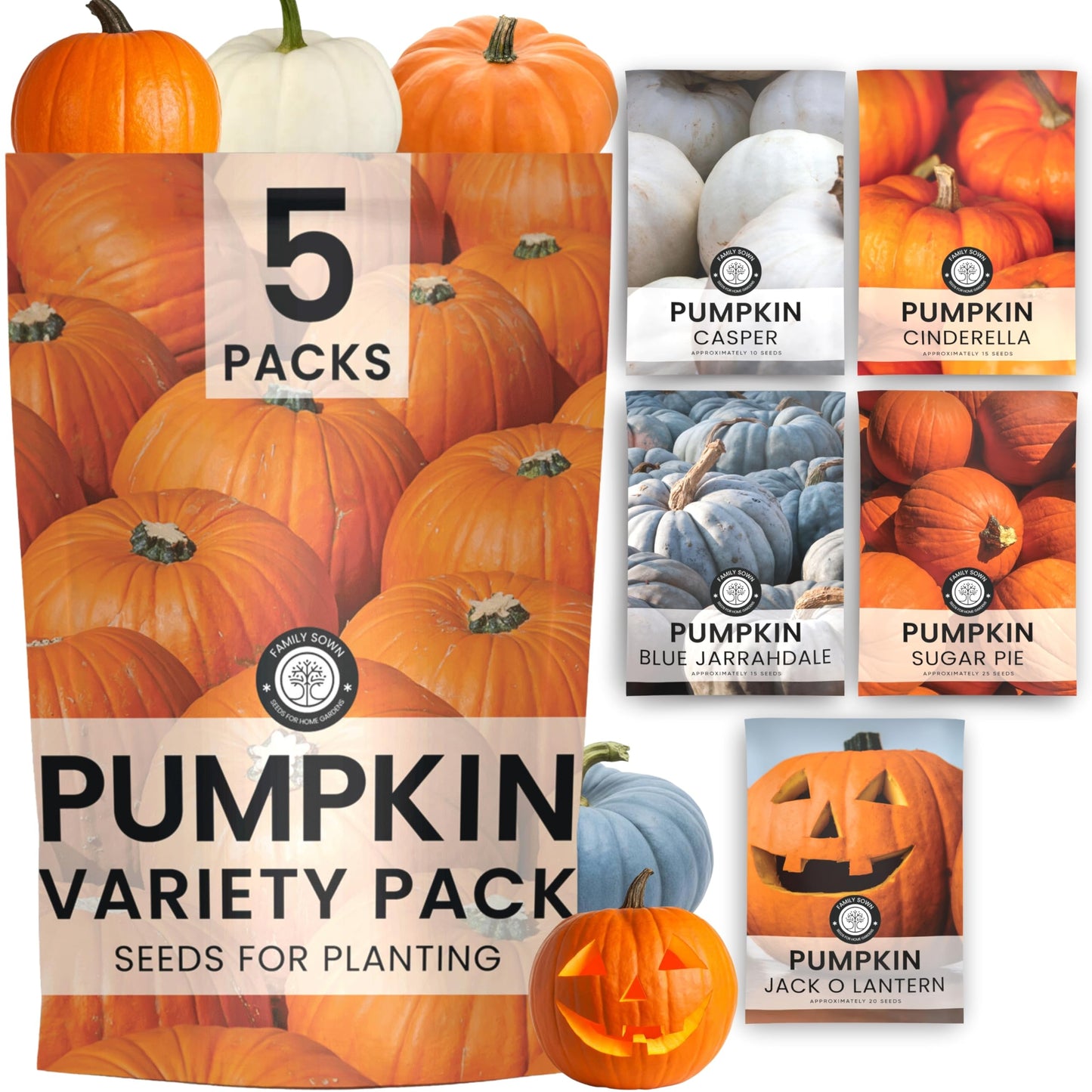 Pumpkin Seeds | 5 Invidiual Packs | 2026 Season | Non-GMO | Jack O Lantern, Sugar Pie, Casper, Cinderella & Blue Jarrahdale! | for Planting Indoor
