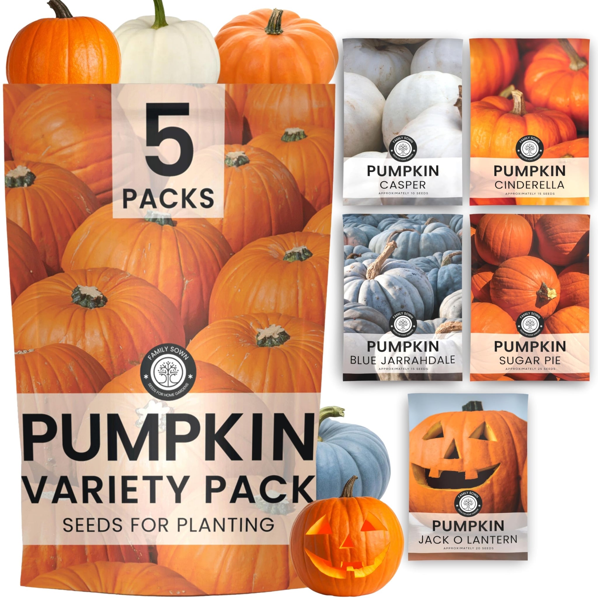 Pumpkin Seeds | 5 Invidiual Packs | 2026 Season | Non-GMO | Jack O Lantern, Sugar Pie, Casper, Cinderella & Blue Jarrahdale! | for Planting Indoor