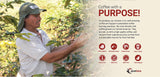 Breakfast Blend Whole Bean Coffee 12 oz. - Fairly Traded, Naturally Shade Grown